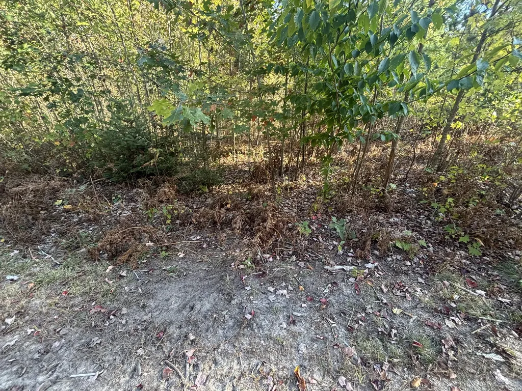 2697 N 176th Avenue Leavitt Township MI 49459