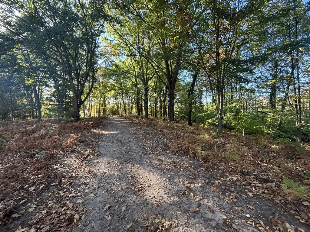 2697 N 176th Avenue Leavitt Township MI 49459
