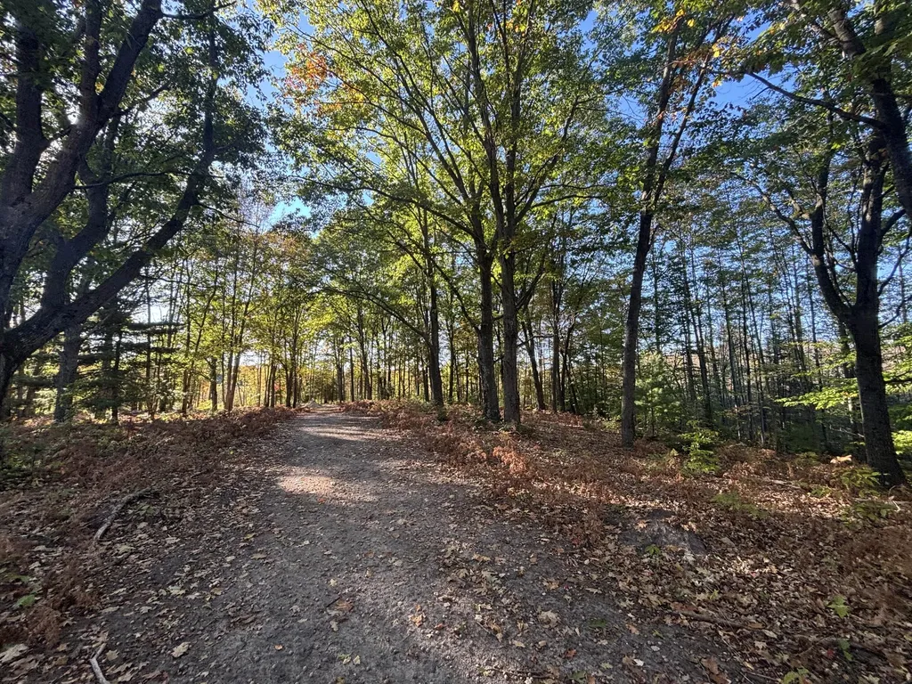2697 N 176th Avenue Leavitt Township MI 49459