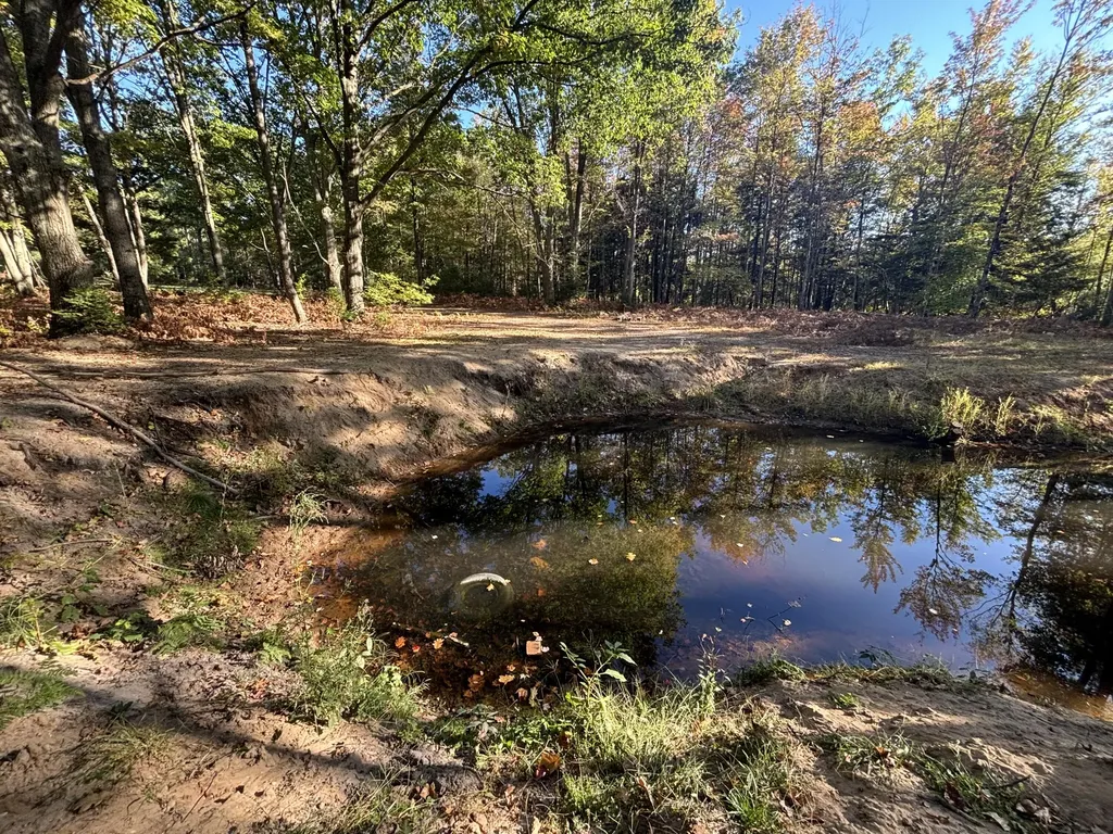 2697 N 176th Avenue Leavitt Township MI 49459