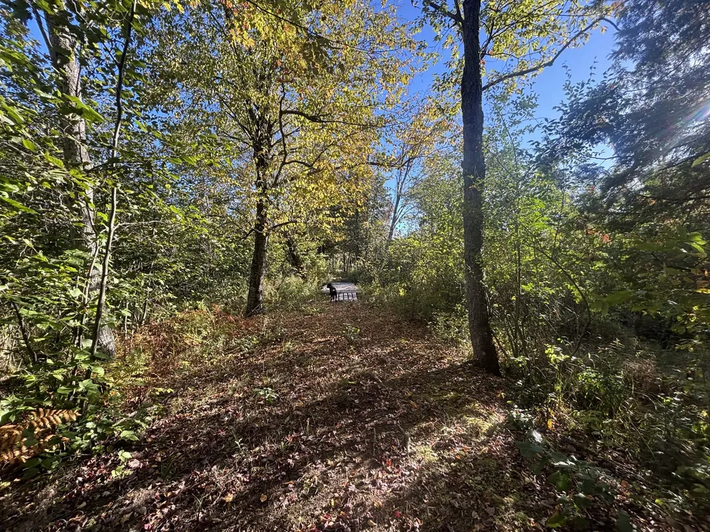 2697 N 176th Avenue Leavitt Township MI 49459