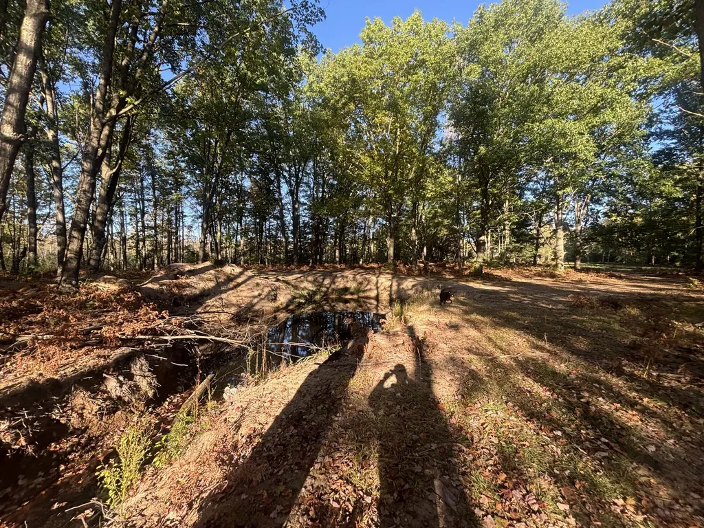 2697 N 176th Avenue Leavitt Township MI 49459
