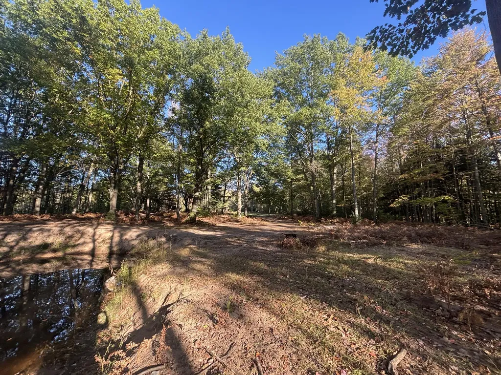 2697 N 176th Avenue Leavitt Township MI 49459