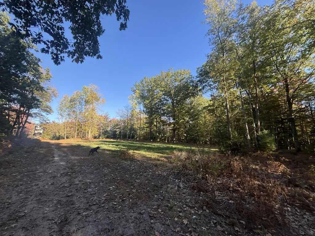 2697 N 176th Avenue Leavitt Township MI 49459