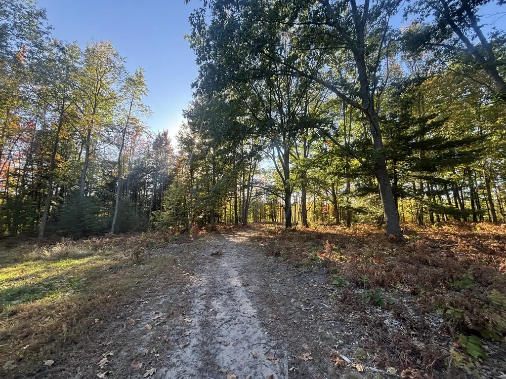 2697 N 176th Avenue Leavitt Township MI 49459