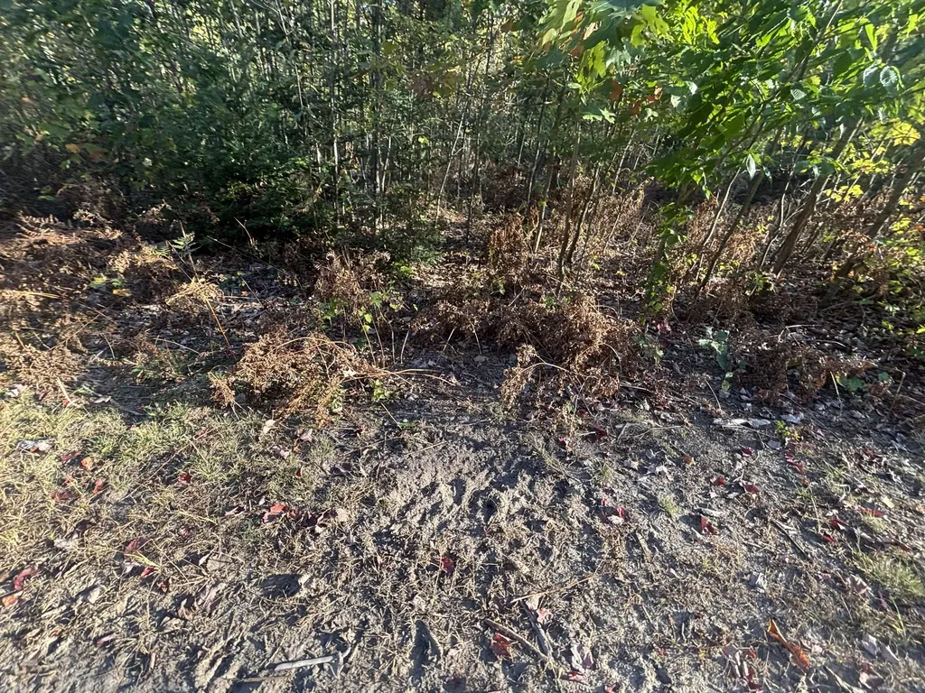 2697 N 176th Avenue Leavitt Township MI 49459