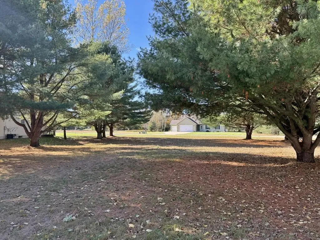 7600 Ryans Run Morton Township MI 49346