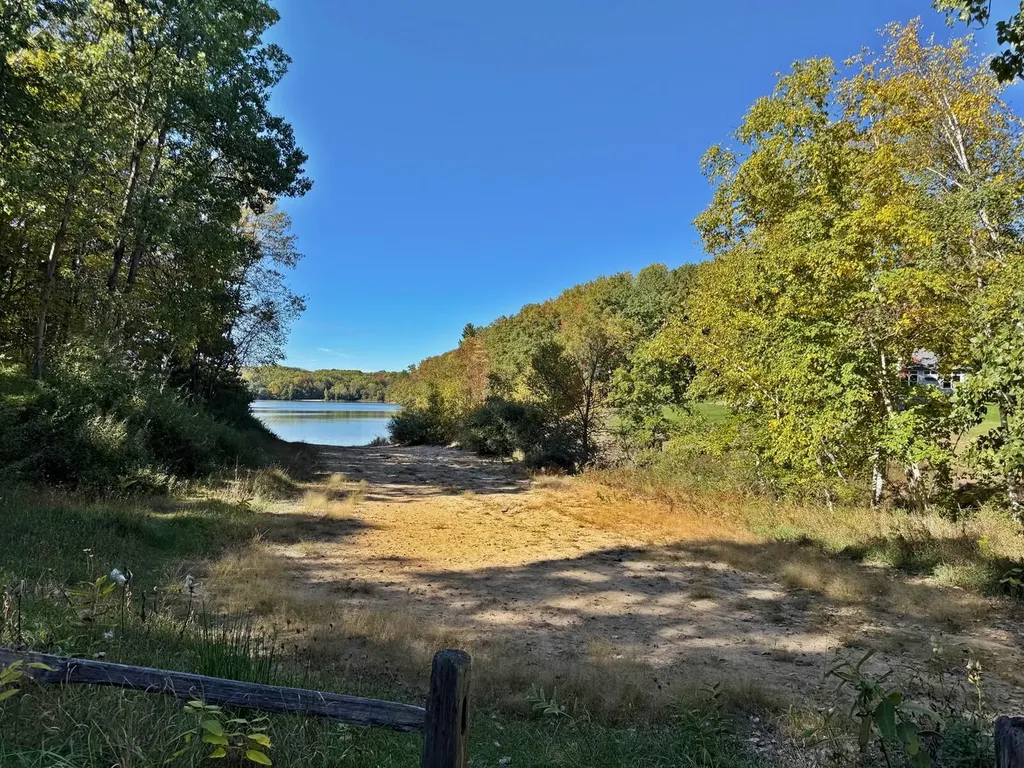 11167 Birwood Drive Morton Township MI 49346