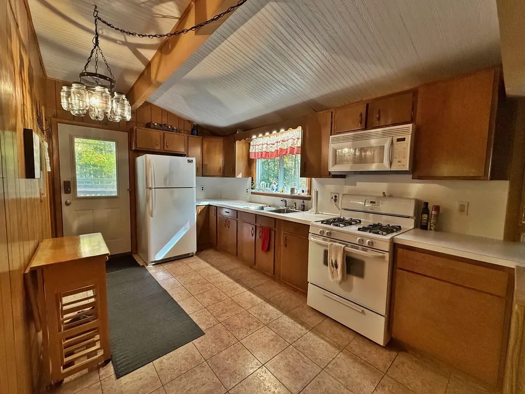 11167 Birwood Drive Morton Township MI 49346