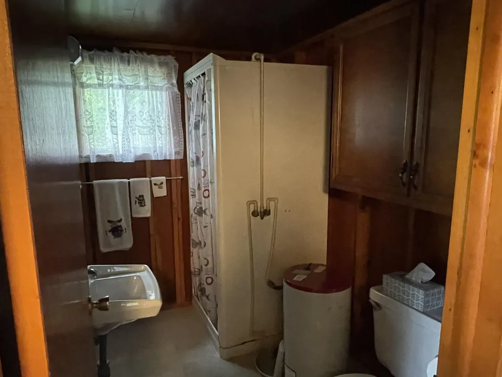 13697 Lower Bayside Drive Otisco Township MI 48809
