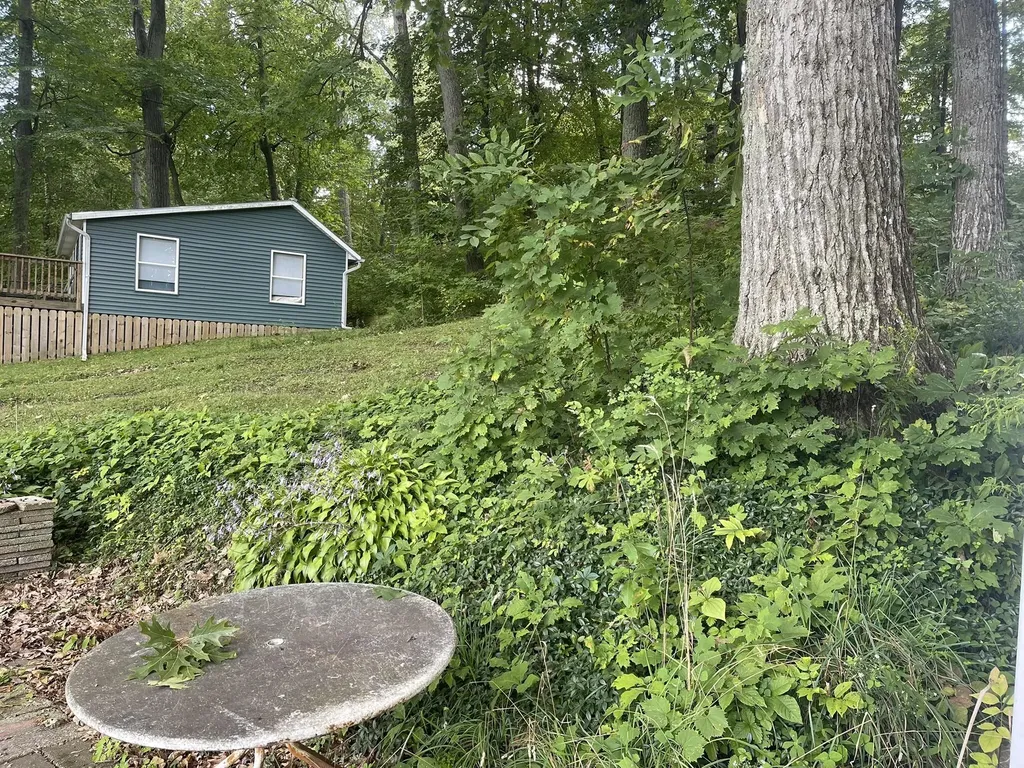 13697 Lower Bayside Drive Otisco Township MI 48809