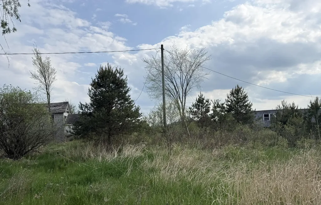 7957 30th Avenue Sylvan Township MI 49631