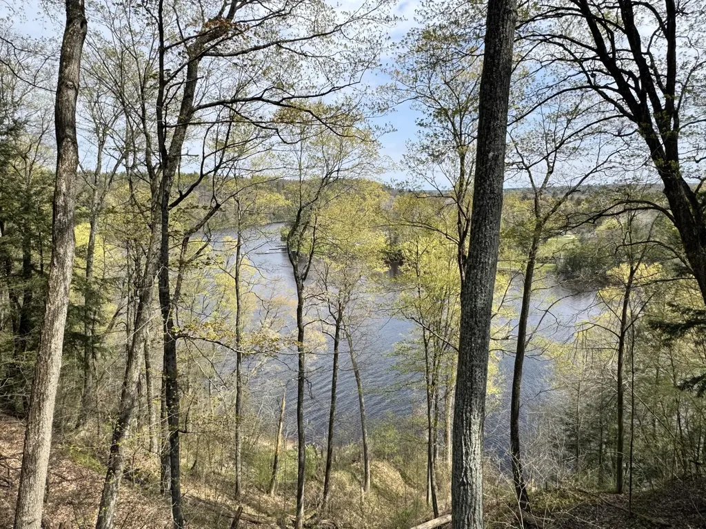 4468 Teal Lane Big Prairie Township MI 49337