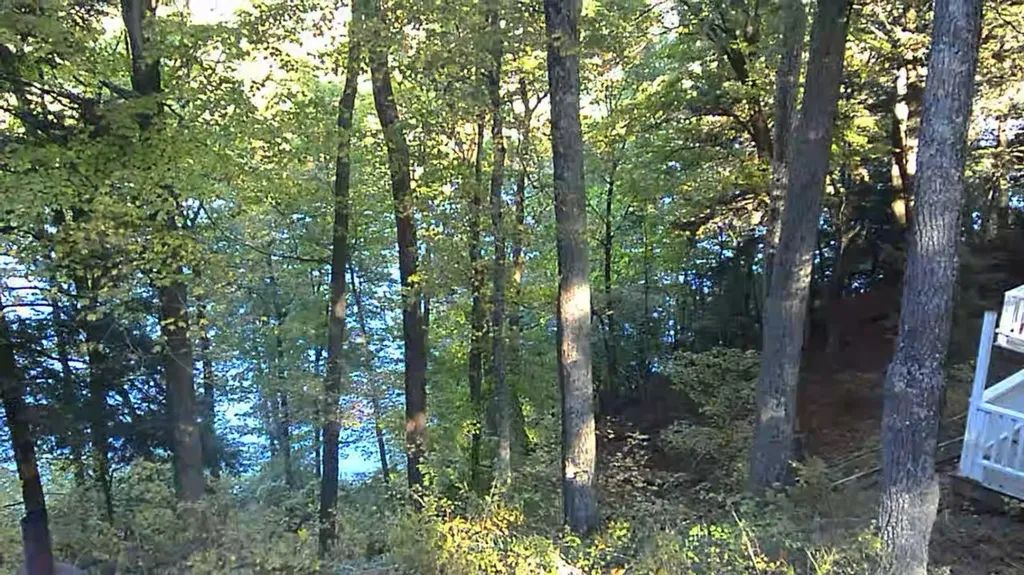 4468 Teal Lane Big Prairie Township MI 49337