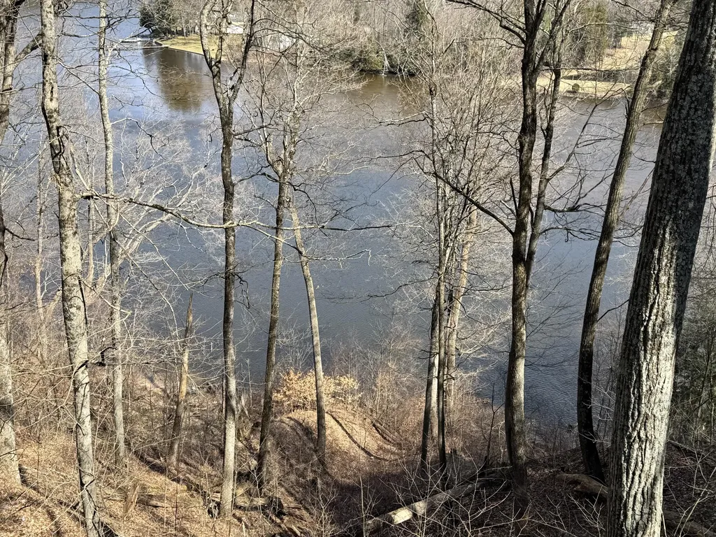 4468 Teal Lane Big Prairie Township MI 49337