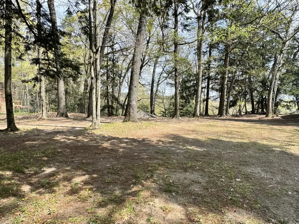 4468 Teal Lane Big Prairie Township MI 49337