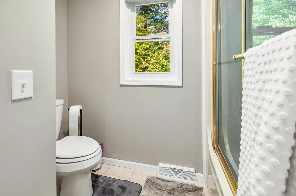 13421 Woodland Court Big Rapids Charter Township MI 49307