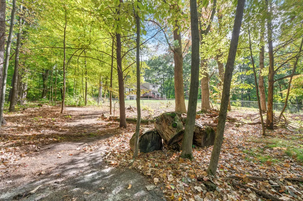 13421 Woodland Court Big Rapids Charter Township MI 49307