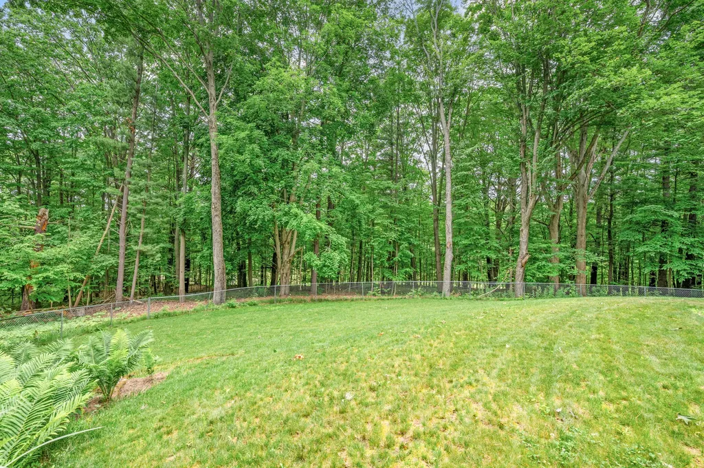 13421 Woodland Court Big Rapids Charter Township MI 49307