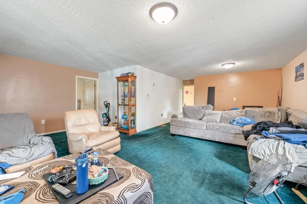 117 S Warren Avenue Big Rapids City MI 49307