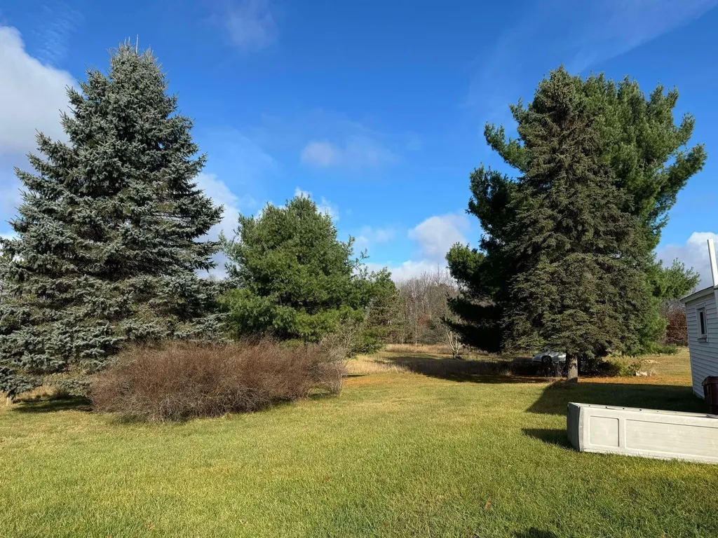 524 S Cherry Street Evart City MI 49631