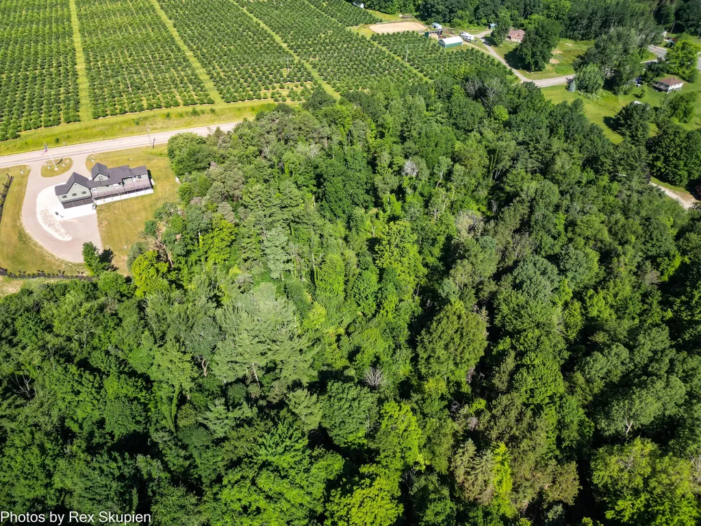 17090 Kenowa Avenue Tyrone Township MI 49330