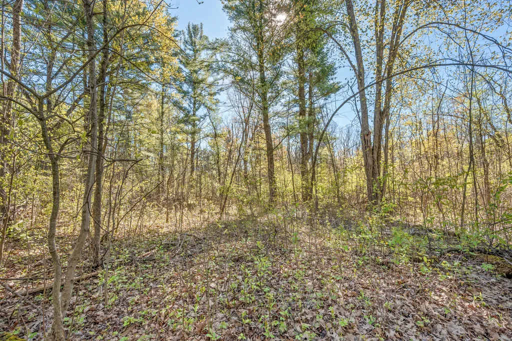 8558 Monterey Drive Sylvan Township MI 49631