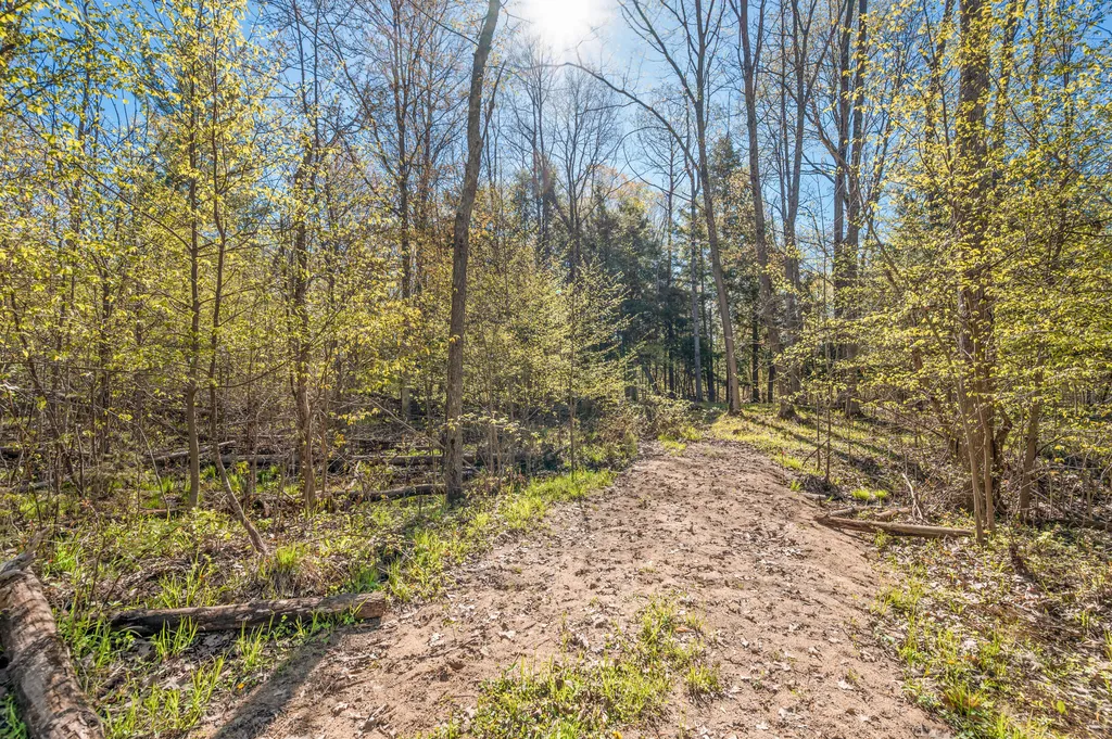 8558 Monterey Drive Sylvan Township MI 49631