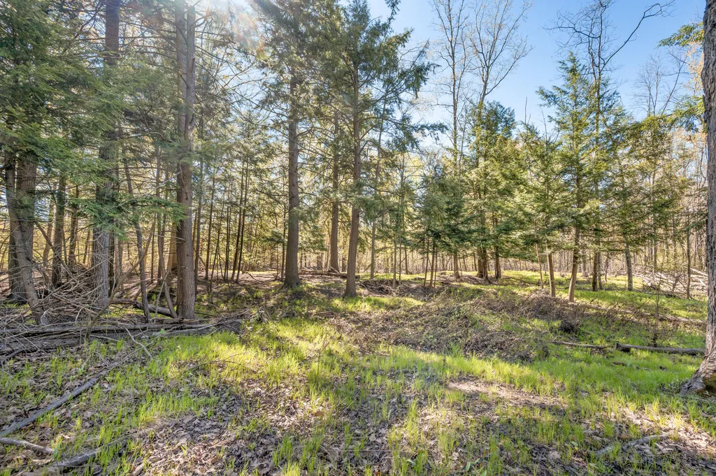 8558 Monterey Drive Sylvan Township MI 49631