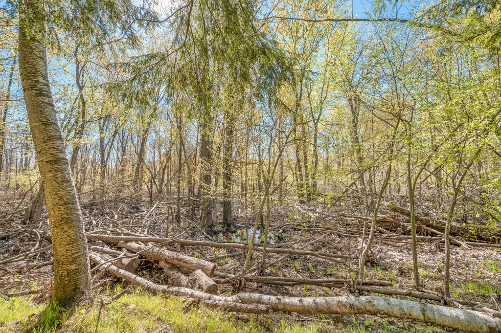 8558 Monterey Drive Sylvan Township MI 49631