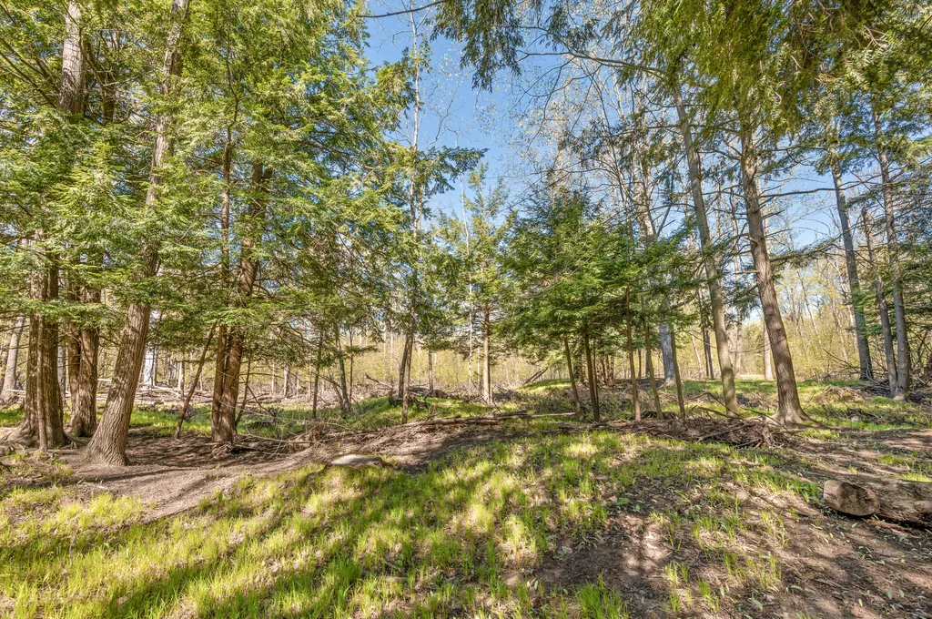 8558 Monterey Drive Sylvan Township MI 49631