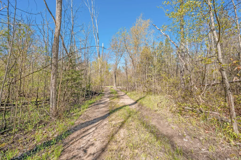 8558 Monterey Drive Sylvan Township MI 49631