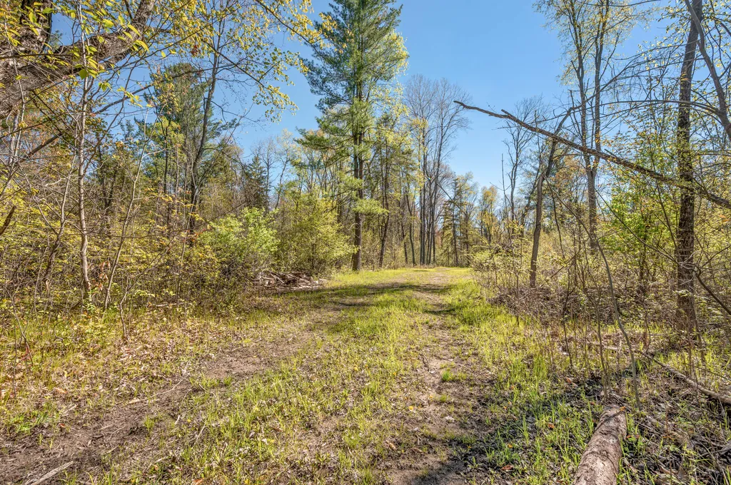 8558 Monterey Drive Sylvan Township MI 49631