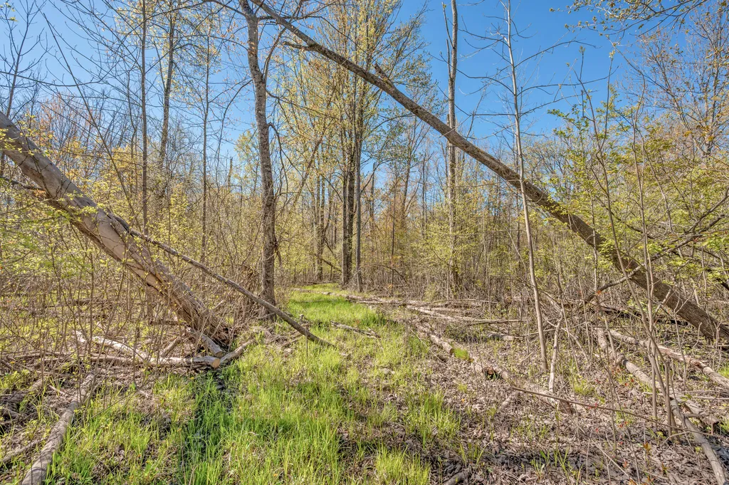 8558 Monterey Drive Sylvan Township MI 49631