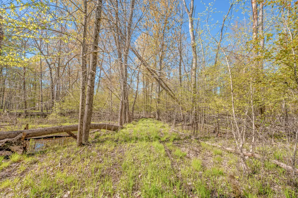 8558 Monterey Drive Sylvan Township MI 49631