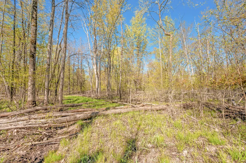 8558 Monterey Drive Sylvan Township MI 49631