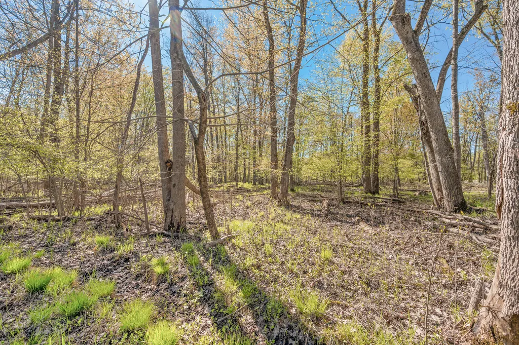 8558 Monterey Drive Sylvan Township MI 49631