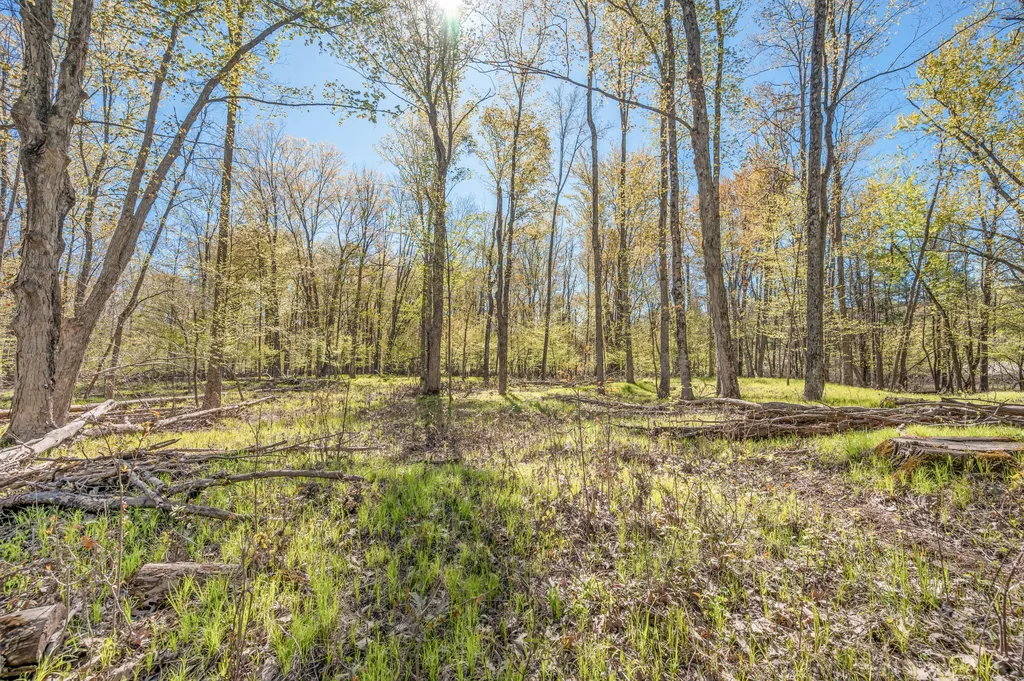 8558 Monterey Drive Sylvan Township MI 49631