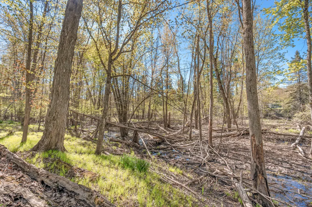 8558 Monterey Drive Sylvan Township MI 49631