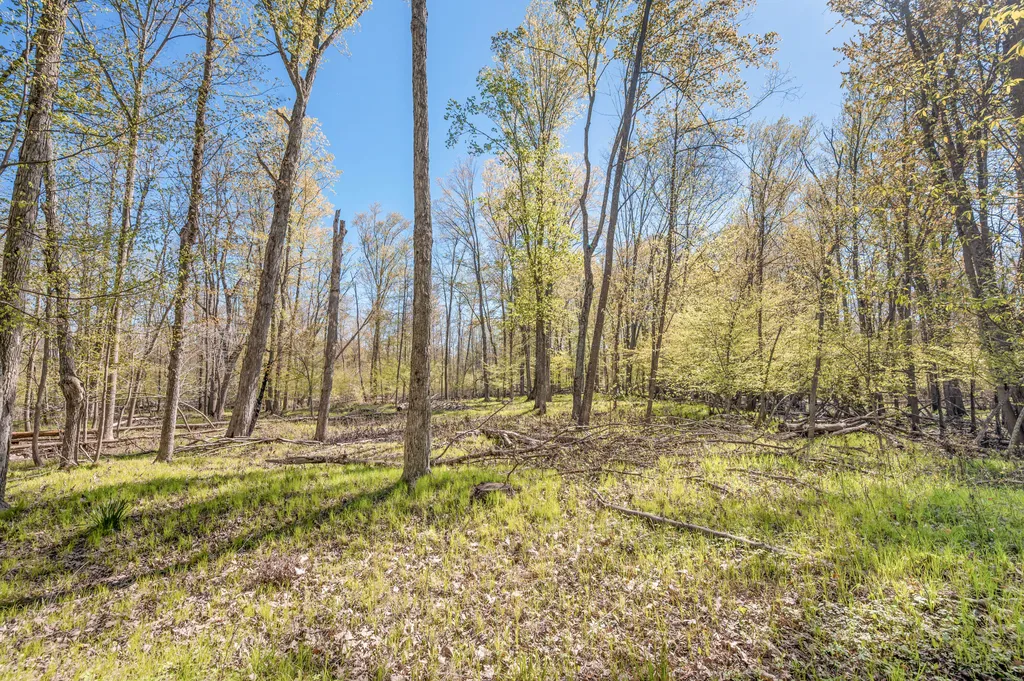 8558 Monterey Drive Sylvan Township MI 49631