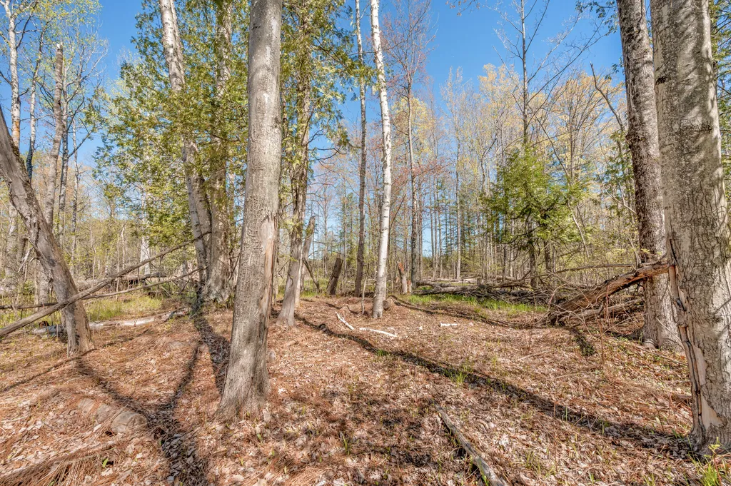 8558 Monterey Drive Sylvan Township MI 49631