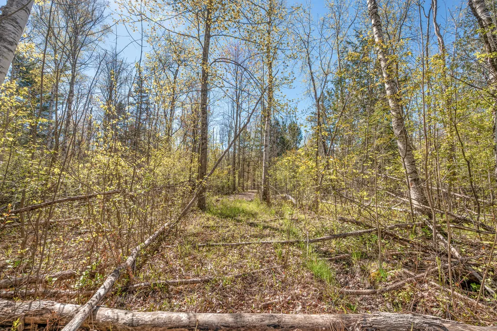 8558 Monterey Drive Sylvan Township MI 49631