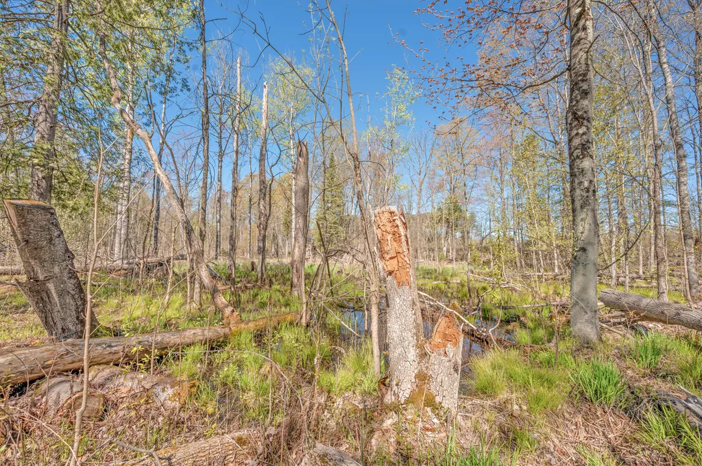 8558 Monterey Drive Sylvan Township MI 49631