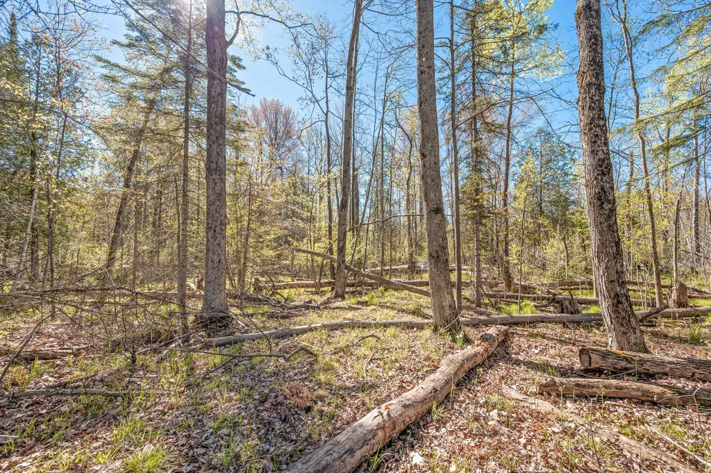 8558 Monterey Drive Sylvan Township MI 49631