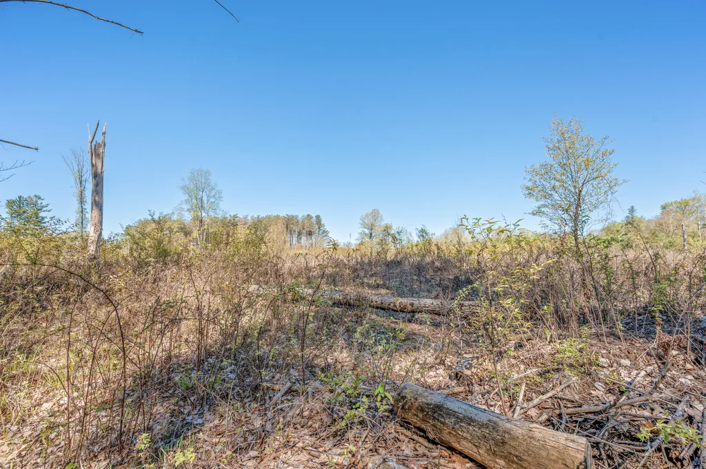 8558 Monterey Drive Sylvan Township MI 49631