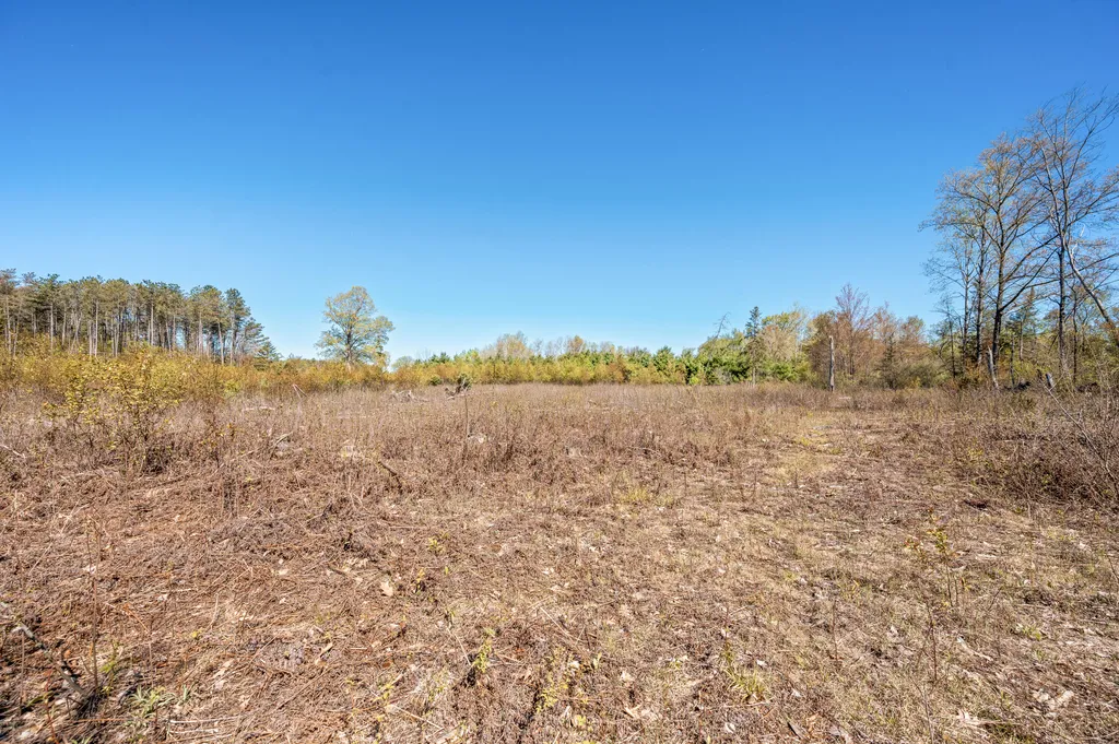 8558 Monterey Drive Sylvan Township MI 49631