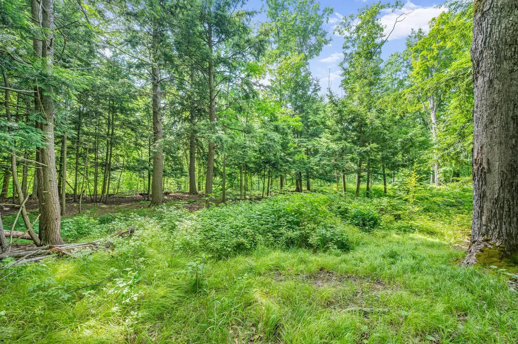 8558 Monterey Drive Sylvan Township MI 49631