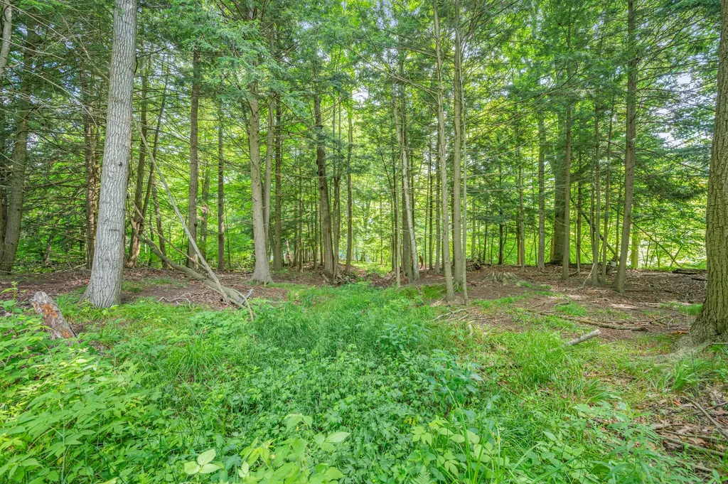 8558 Monterey Drive Sylvan Township MI 49631