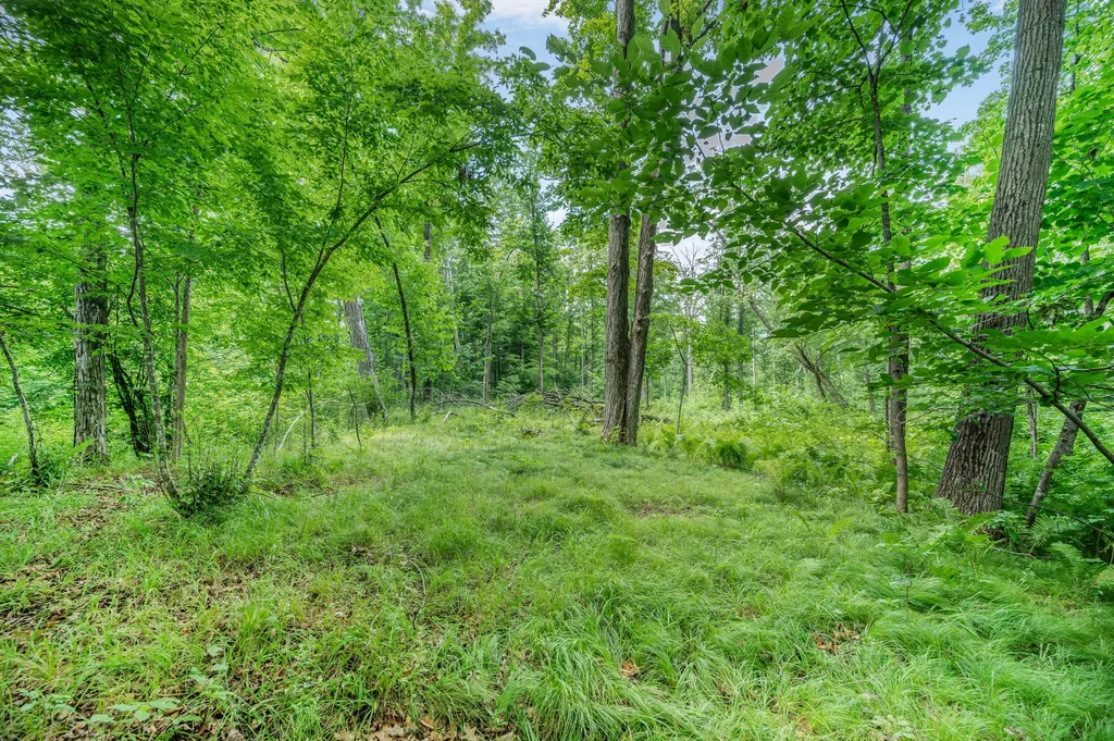 8558 Monterey Drive Sylvan Township MI 49631