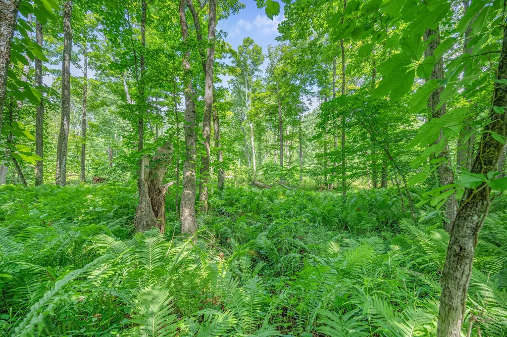 8558 Monterey Drive Sylvan Township MI 49631